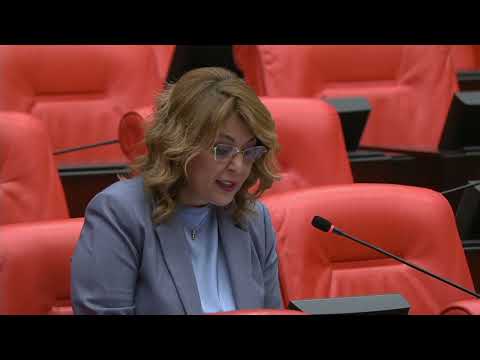 TBMM Genel Kurulu'nda  Sekü’de 41 gündür sürdürülen çevre mücadelesini dile getirdim.
